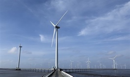 Cà Mau Province licenses 14 wind power farms in 2024