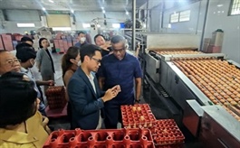 ​Singapore seeks to import meat, eggs from Vietnam
