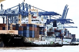 ​Vietnamese enterprises suffer from growing sea freight prices