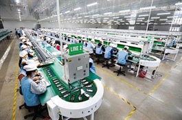 Vietnamese electronics enterprises have low, small position in export supply chain