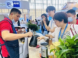 ​Germany surpasses Italy as largest importer of Vietnamese coffee