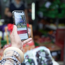Hanoi embraces cashless future with marketplace innovations