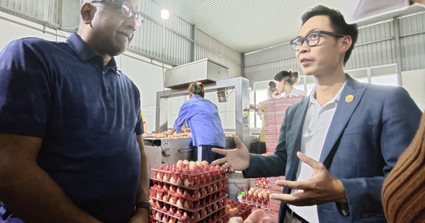 Đại diện Cơ quan quản lý thực phẩm Singapore khảo sát tại trang trại và nhà máy xử lý trứng của Ba Huân tại Long An