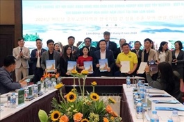 Conference helps connect Central Highlands provinces, RoK enterprises