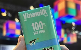 Kết quả kinh doanh khởi sắc nhờ xuất khẩu, khối ngoại gom mạnh VNM