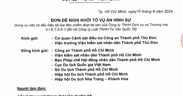 Đề nghị khởi tố vụ Công ty V.I.E.T S.K.Y bị tố lừa đảo- Ảnh 3.