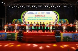 Hà Nội promotes building brands for OCOP products