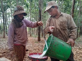 Market in sharp decline as VN-Index falls below 1,200 points