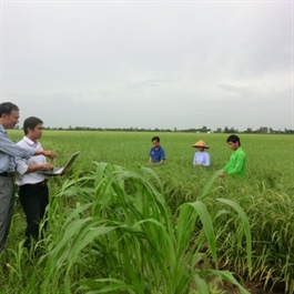 Australia’s support helps Vietnam promote sustainable agriculture