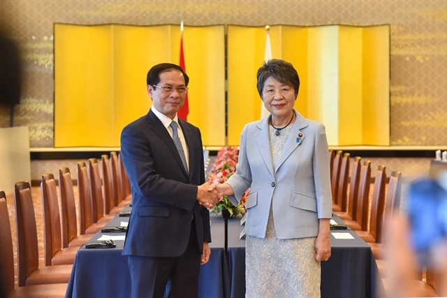 The scene of the 12th meeting of the Vietnam-Japan Cooperation Committee co-chaired by Vietnamese Minister of Foreign Affairs Bui Thanh Son (L) and his Japanese counterpart Kamikawa Yoko in Tokyo, Japan on August 8, 2024. Photo: Vietnam’s Minister of Foreign Affairs