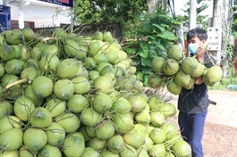 Fruit, vegetable exports up sharply in seven months