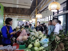 Promotion week for Chi Lăng custard apples held in Hà Nội