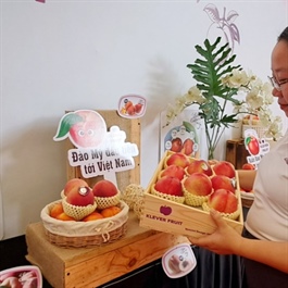 Tasting Californian peaches and nectarines in Hanoi, Ho Chi Minh City