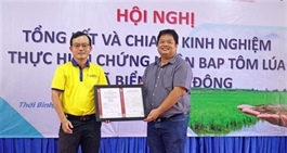 Cà Mau rice-shrimp cultivation model receives first BAP certification