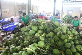 Crocodile meat, frozen durian and fresh coconuts cleared for export to China