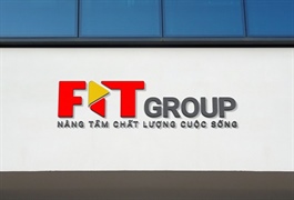 FIT sang tay cổ phần giữa 2 công ty con?