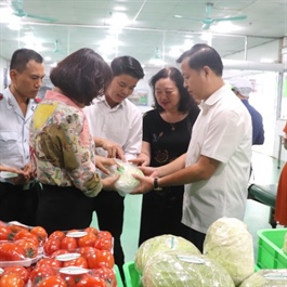 Consumers urged to boycott unsafe foods