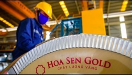 Dragon Capital sells over three million Hoa Sen shares (HSG)