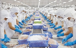 VHC - Các tín hiệu tích cực đã xuất hiện (Kỳ 2)