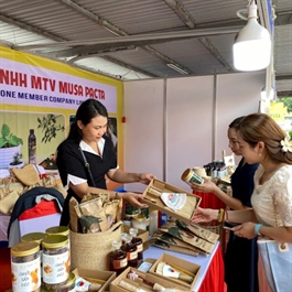 Hanoi launches campaign for green and sustainable consumption