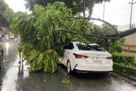 Ministry of Finance urges swift insurance compensation after Typhoon Yagi