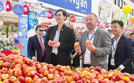 ​Vietnam, US seek to enhance fruit trading