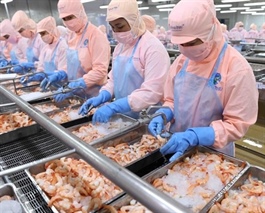 Seafood stocks (FMC) vary in performance