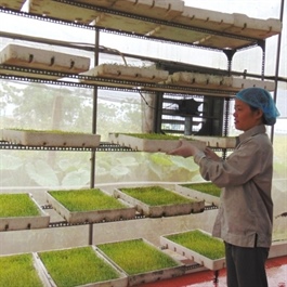 Hanoi to expand agricultural cooperatives for sustainable growth by 2030