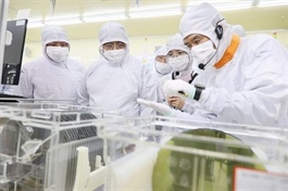 'C = SET + 1' Strategy can realise Việt Nam's semiconductor ambitions