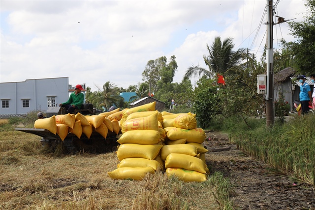 ​Vietnamese rice exports poised to thrive despite India’s eased export policy: insider