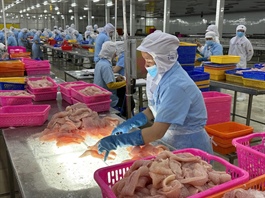 ​8 Vietnamese pangasius fish exporters exempt from US anti-dumping tax