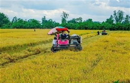 Việt Nam, WB look to reduce emissions in rice cultivation