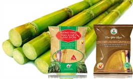 Phó Chủ tịch LSS đăng ký mua 3 triệu cp