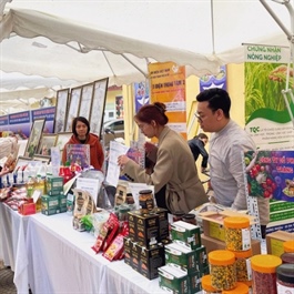 Hanoi Agriculture Fair 2024 underway