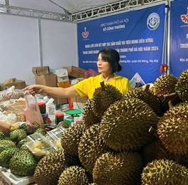 Connecting agricultural production and consumption networks in Hanoi