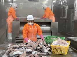 ​China spends $21mn importing tra fish maws from Vietnam in January-August