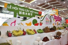 First Việt Nam fruit festival opens in China