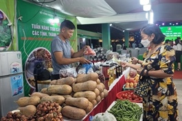 Hà Nội opens Fruit and Agricultural Products Week