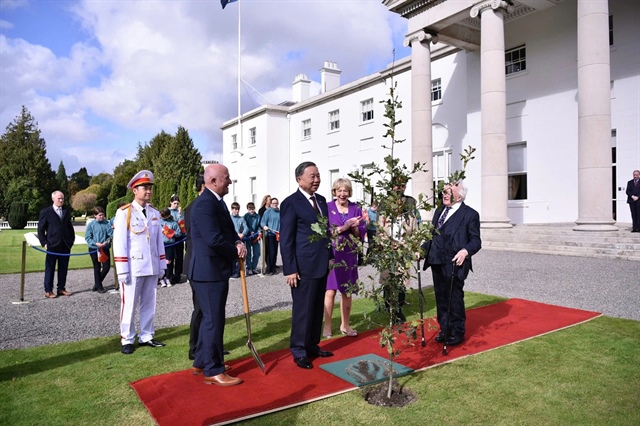 An overview of the talks between a Vietnamese delegation led by Party General Secretary and State President To Lam (L) and its Irish counterpart headed by President Michael D. Higgins in Dublin, Ireland on October 2, 2024. Photo: Vietnam News Agency