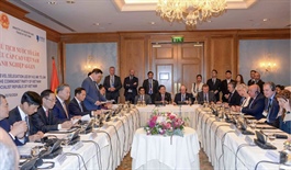 ​15 major Irish firms desire to step up investment in Vietnam