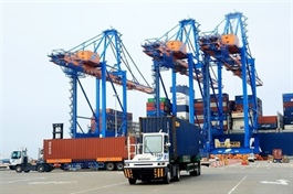 Import-export revenue rises over 16 per cent in nine months