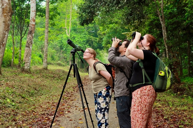 An area in front of the headquarters of Ho Chi Minh City People’s Committee in District 1, Ho Chi Minh City, a tourist destination in southern Vietnam. Photo: Quang Dinh / Tuoi Tre