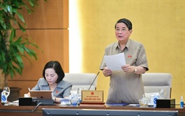 Luật Chứng khoán sửa đổi cần có chế tài xử lý nghiêm đối với những hành vi thao túng TTCK