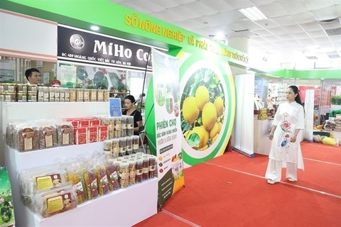 Hà Nội accelerates agricultural brand building