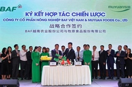 BAF Vietnam and Muyuan Foods partner in high-tech livestock breeding