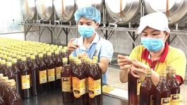 US extends issuance of final findings of anti-dumping duties on Vietnamese honey