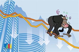Nhịp đập Thị trường 25/10: Quán tính giảm vẫn còn, VN-Index đánh mất mốc 1,260 điểm
