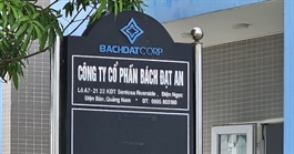 Lý do nguyên Tổng Giám đốc Công ty Bách Đạt An bị giữ hình sự