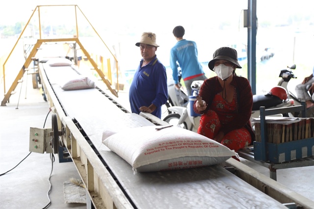 ​Vietnam’s rice exports to China plummet