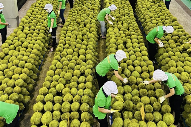 ​Vietnam’s agro-forestry-fishery exports to hit $61bn in 2024: deputy minister